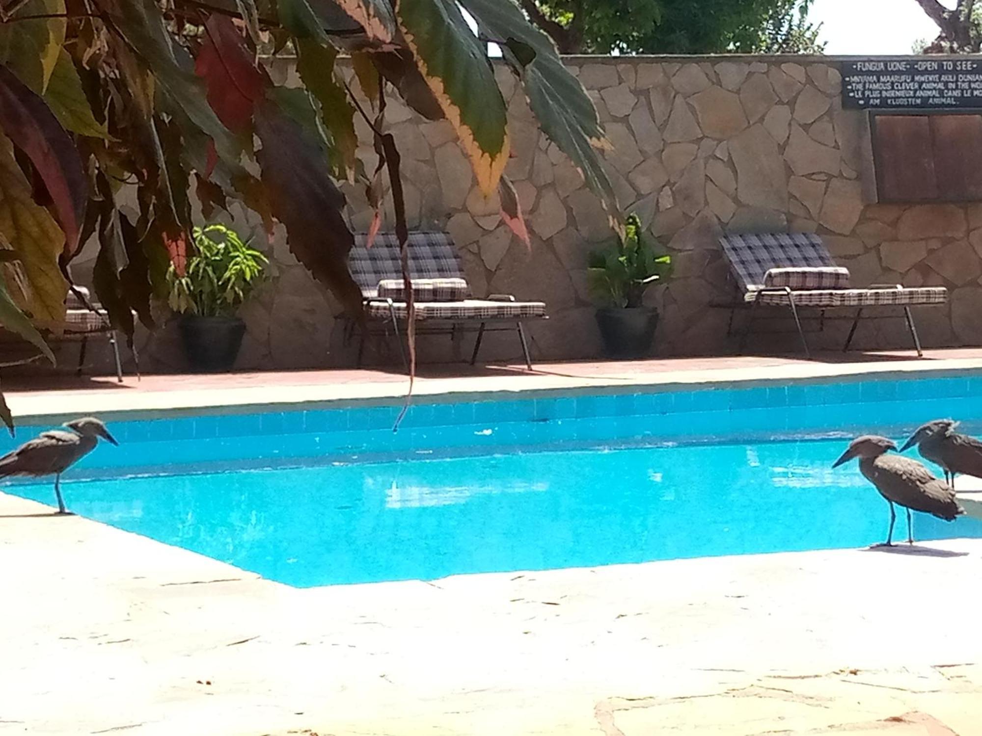 קראטו Ngorongoro Camp And Lodge מראה חיצוני תמונה